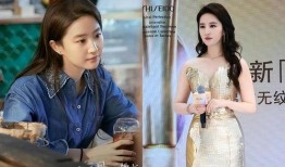 明星故事最新爆料大全