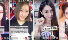 东北娱乐圈爆料视频合集,揭秘幕后故事与精彩瞬间