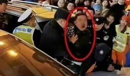 老司机免费爆料黑料视频在线播放,黑料视频在线播放全解析